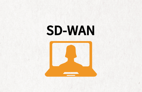 智能網(wǎng)絡(luò)優(yōu)化SD-WAN